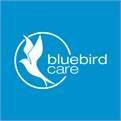 Bluebird Care ( Meath)  Gavin Kane