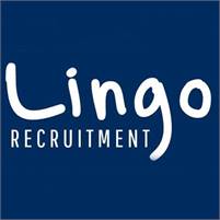 Lingo Recruitment  Daniel  Michalewicz 