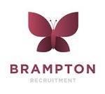 Brampton Recruitment Ltd Susan Kerry