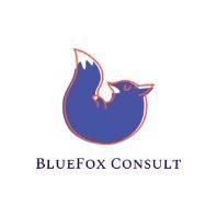 BlueFox Consult Evert Vos