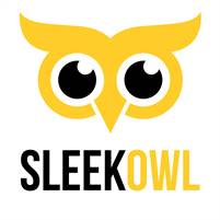 Sleek Owl Georgia Cushion