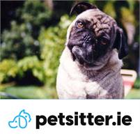 petsitter.ie Hugh Durkin